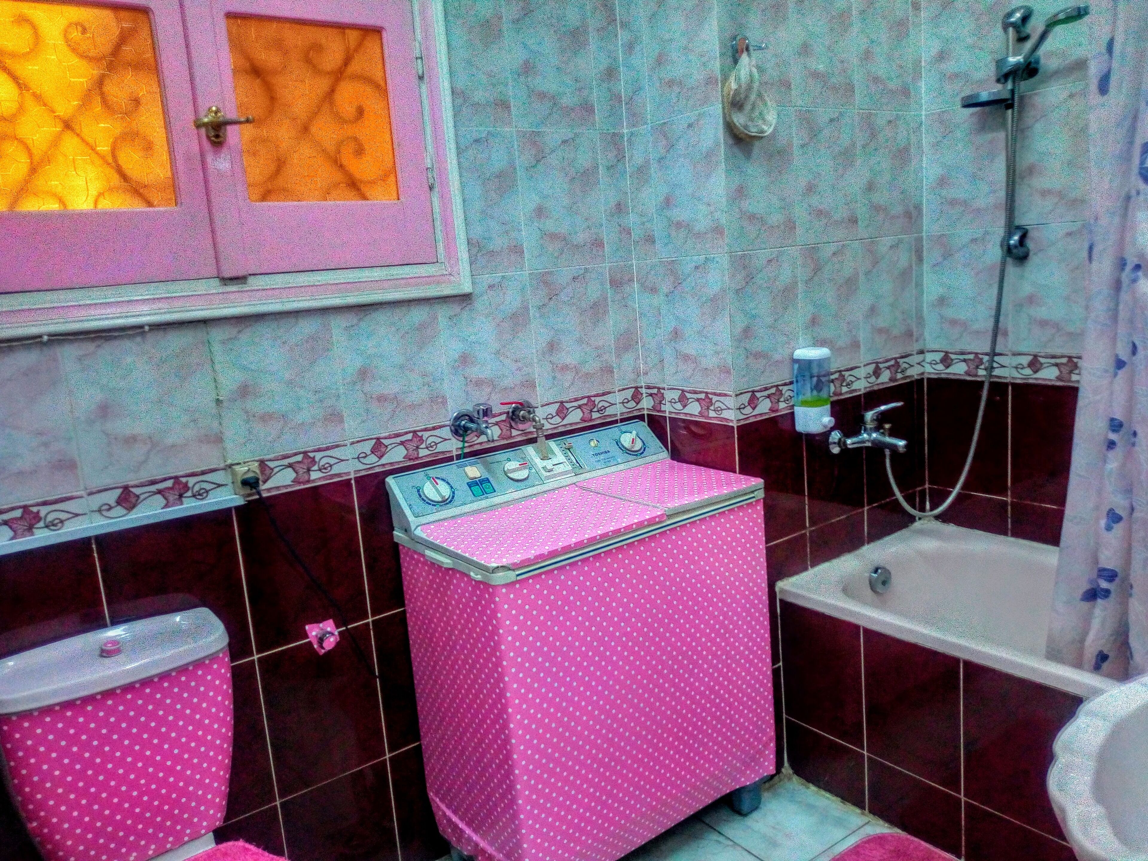 Ensemble douche/baignoire, baignoire à jets, sèche-cheveux, bidet