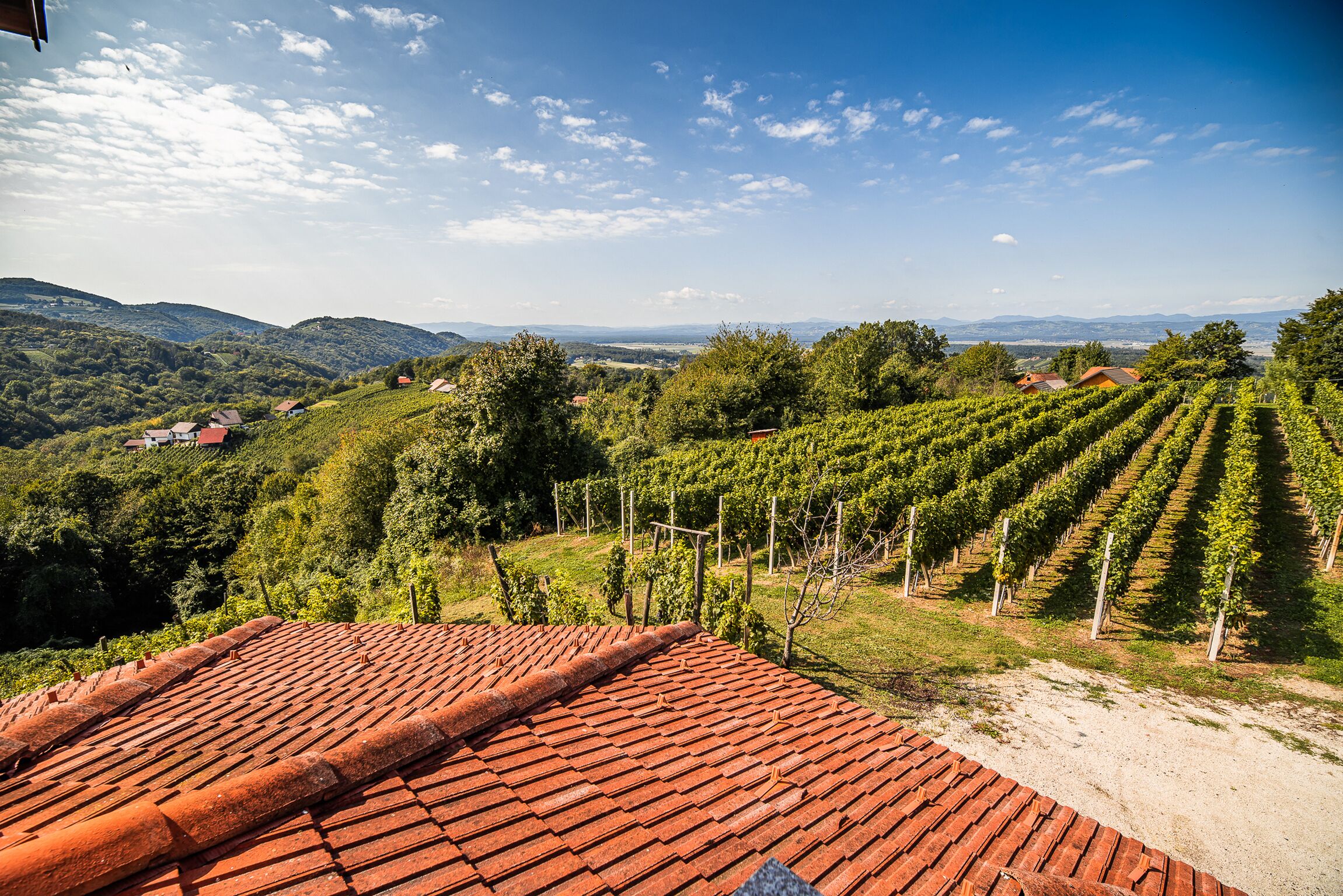 Vineyard Holiday House Kerin