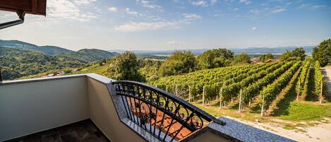 獨棟房屋 (Two Bedroom Holiday Home) | 露台/庭院