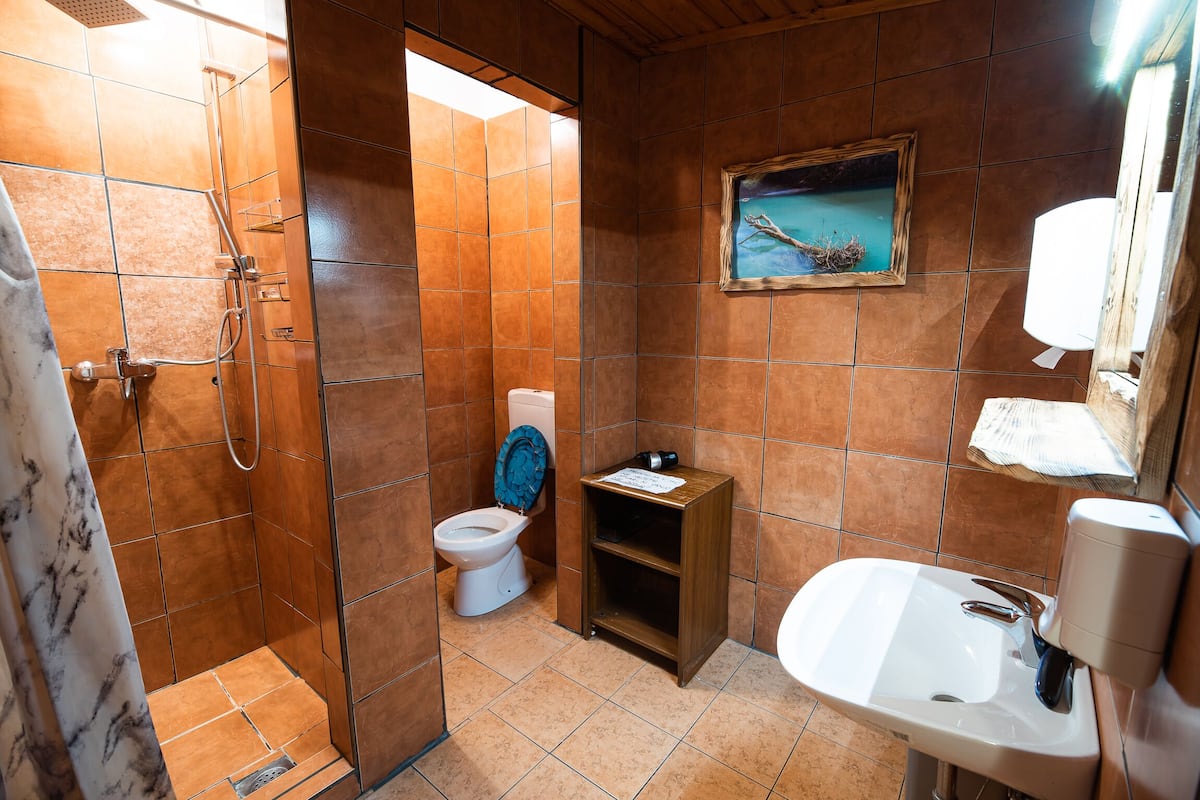 A bathroom with a shower, toilet, sink, and a small shelf with toiletries.