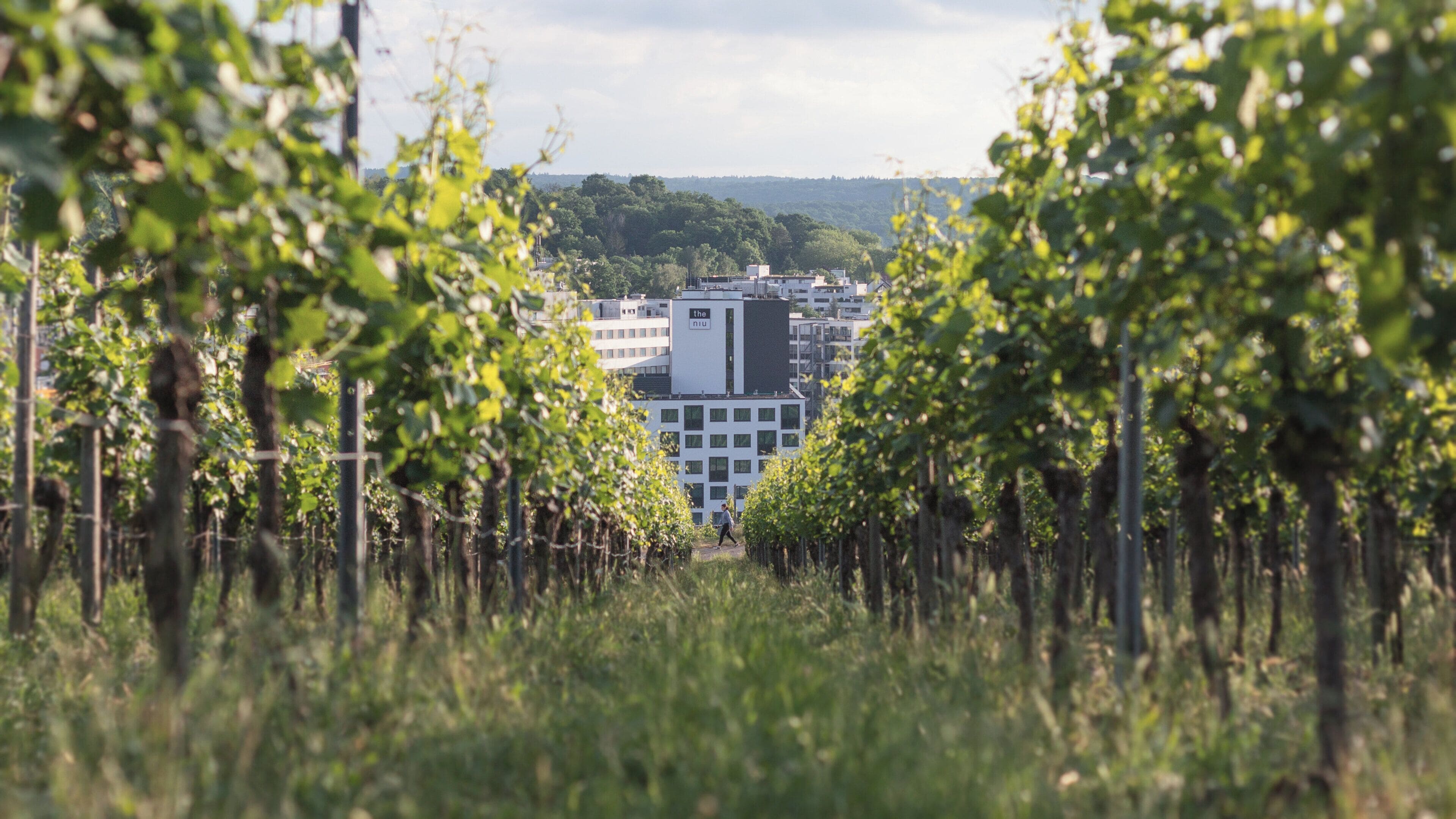 Foto - Holiday Inn - the niu, Form Stuttgart Feuerbach by IHG