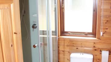 Shower, towels, toilet paper