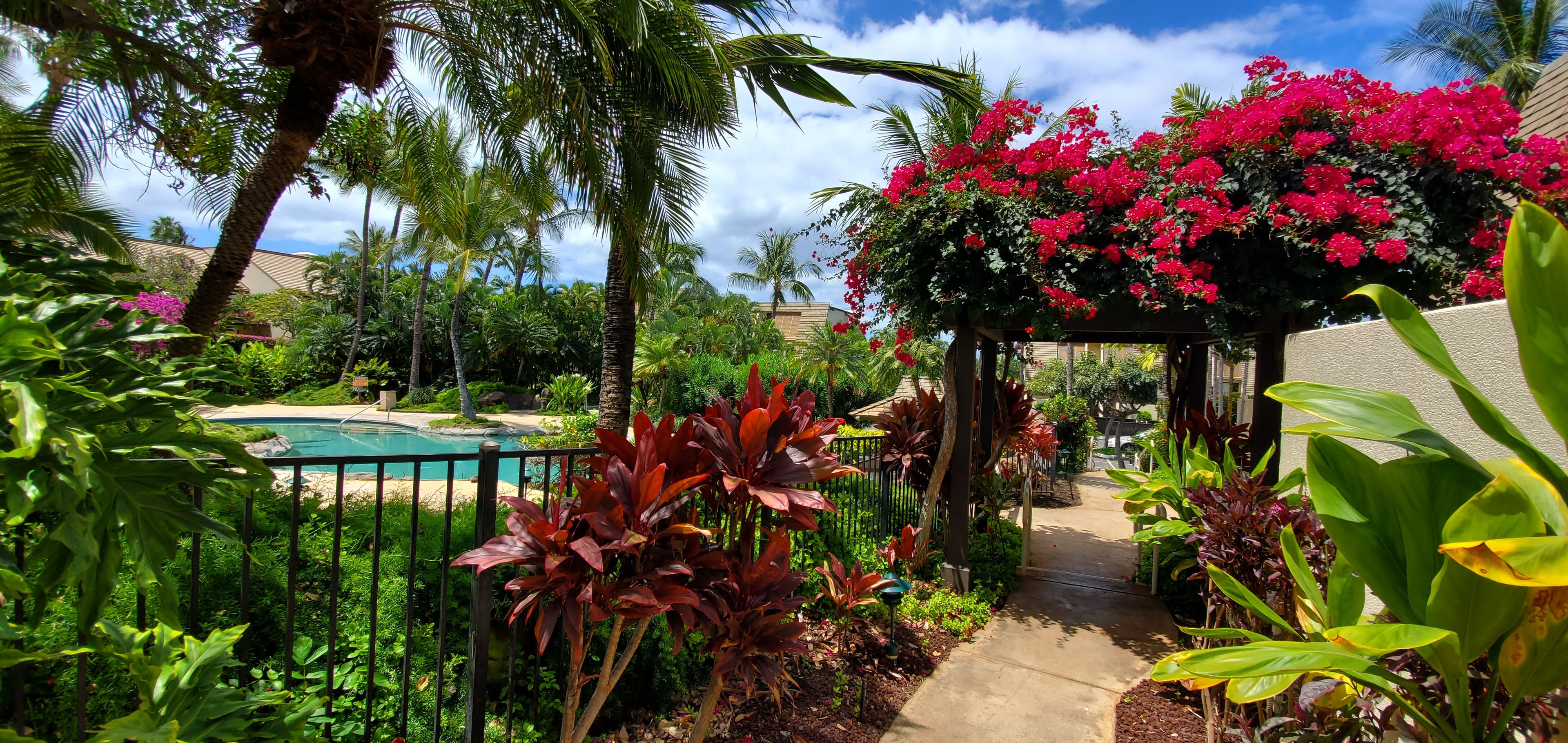 A lush garden with a pool, palm trees, and vibrant flowers.