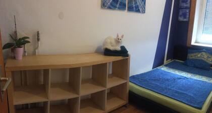 Private room, Wiesbaden Mitte 2