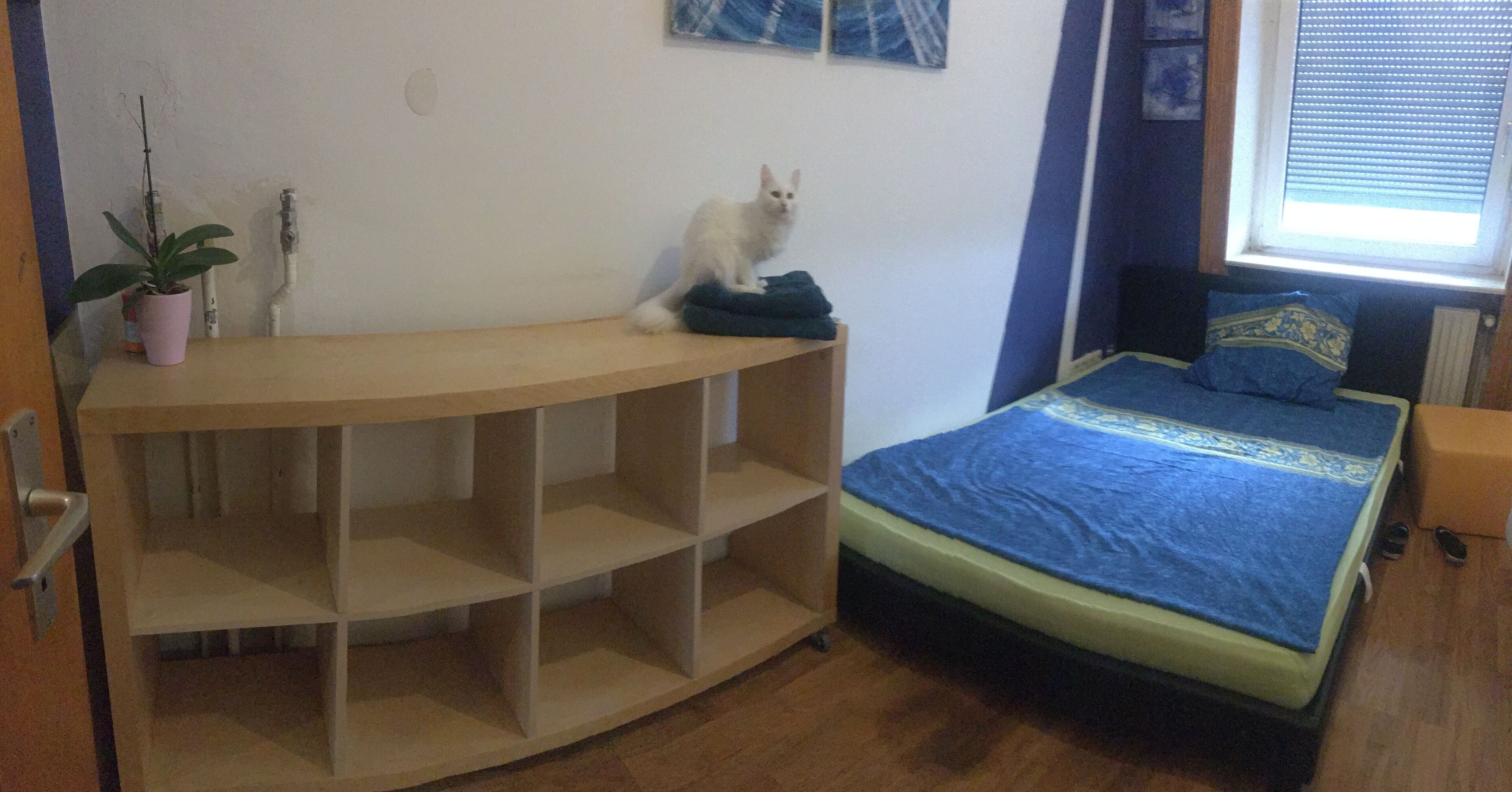 1 bedroom, desk, free WiFi, bed sheets