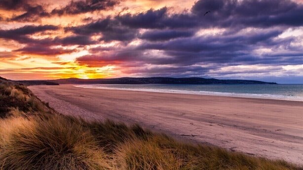 Una playa con un atardecer, dunas cubiertas de hierba y cielo despejado.