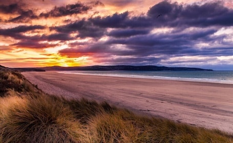 Beach nearby. 1 Bed Cabin. Parking. Private & secure Garden. Pets welcome. Nr to beaches/walks