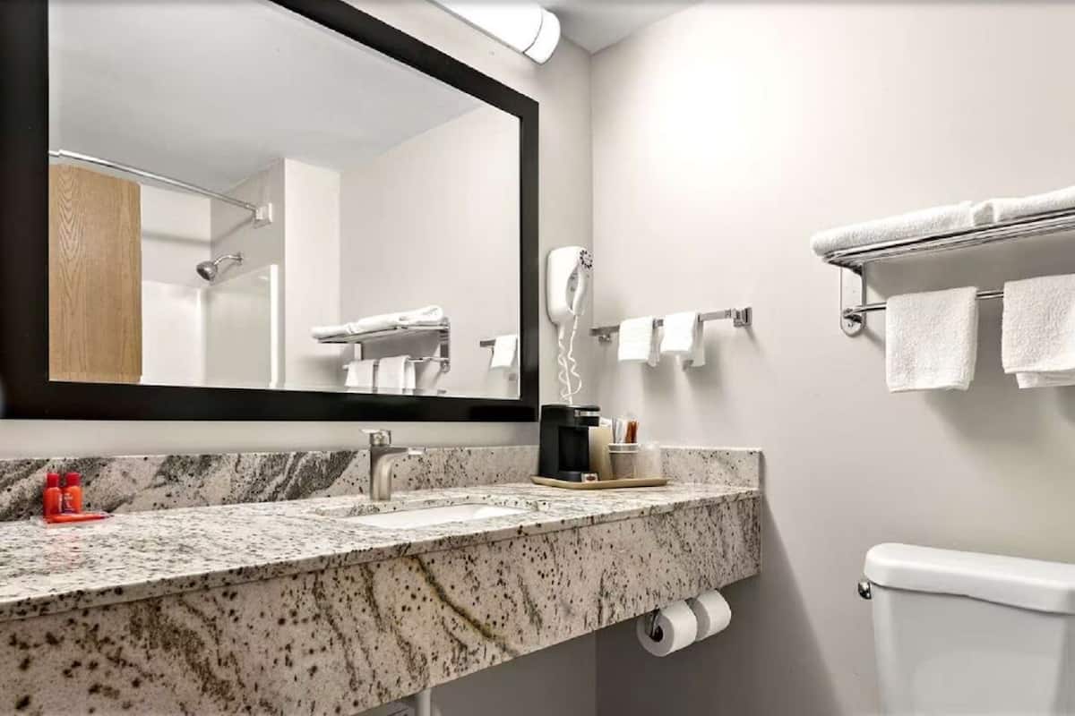 Ein modernes Badezimmer mit einer Granit-Arbeitsplatte, einem großen Spiegel, einem Handtuchhalter und einer Toilette.