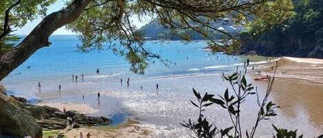 Playa