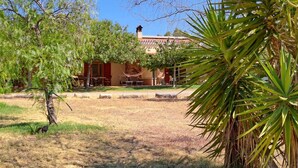Una casa con un patio, una hamaca y un árbol al frente.