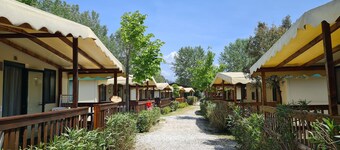 Chalet "la Dolce Vita " in Viareggio