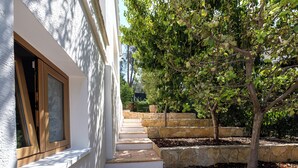 A building with a white exterior, a wooden-framed window, and a stone staircase leading to a garden area with trees and a stone wall.