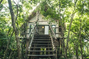 Jungle Suite, Jungle View | In-room safe, blackout drapes, iron/ironing board, free WiFi