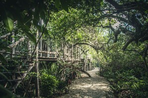 A pathway through a lush, green forest with a wooden bridge. - Roc Jungle Tulum (Tulum)