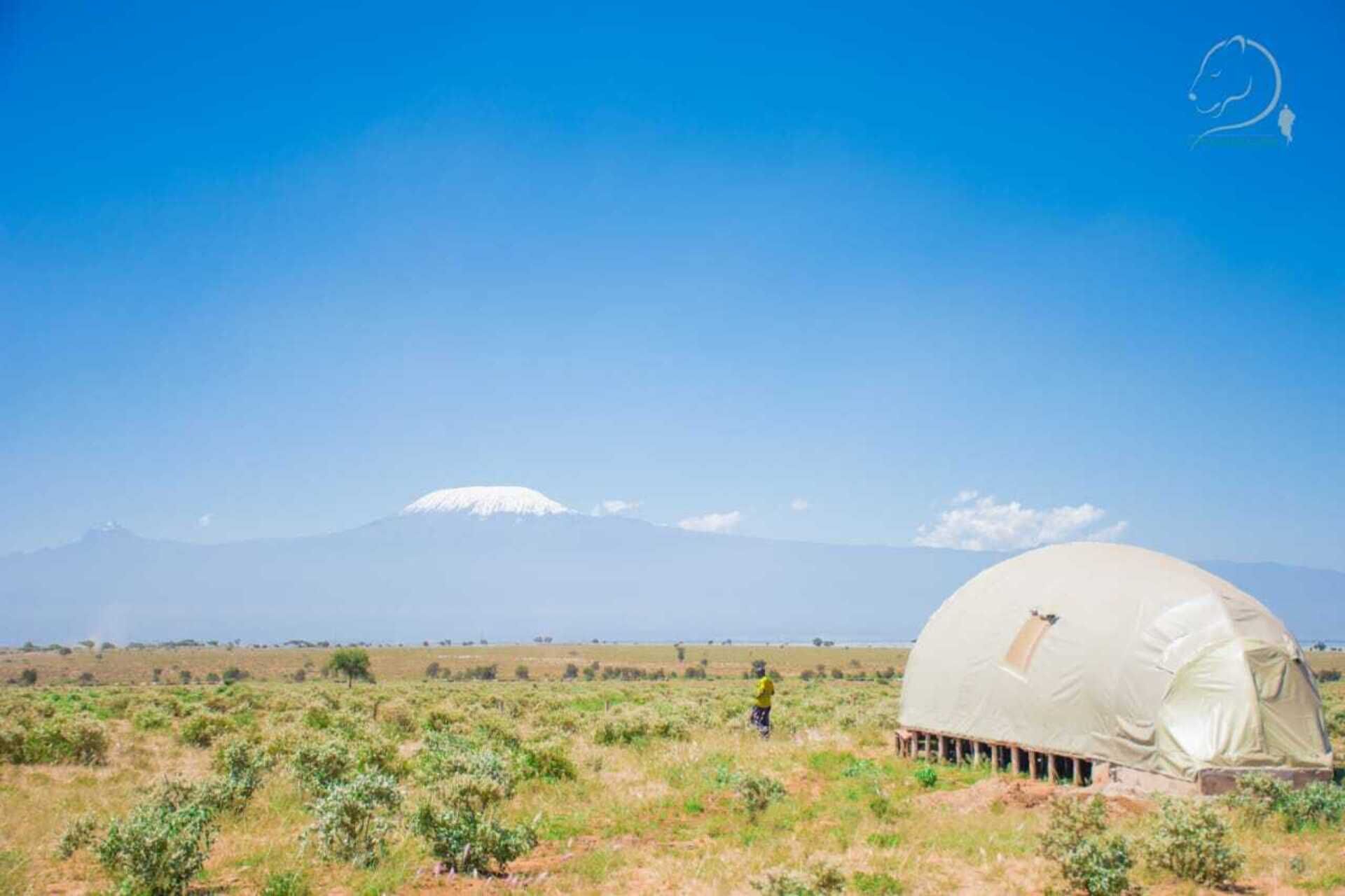 A dome-shaped tent in a grassy field with a mountain in the background.