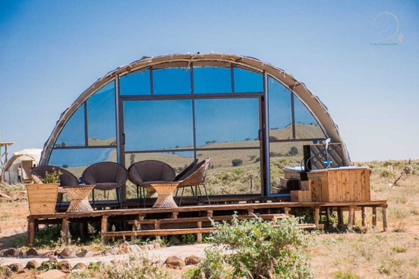 Cabin | Garden