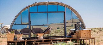 Amanya 2-rooms Lioness Family