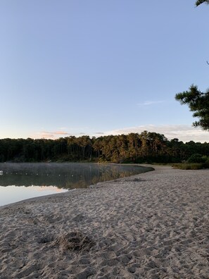 Beach - Quintessential Chatham Cottage by the Pond (Chatham)