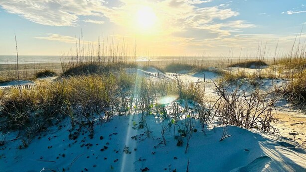 A beach with sand dunes and sparse vegetation under a clear sky. - 3 Bed/2.5 Bath 1450 sq ft with Large Open Floor Plan, 3 Min Walk to Beach (Emerald Isle)