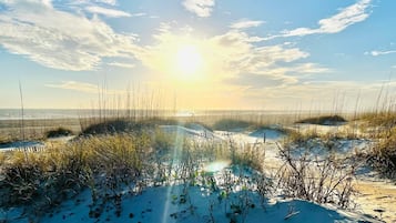 Plage à proximité, chaises longues, serviettes de plage