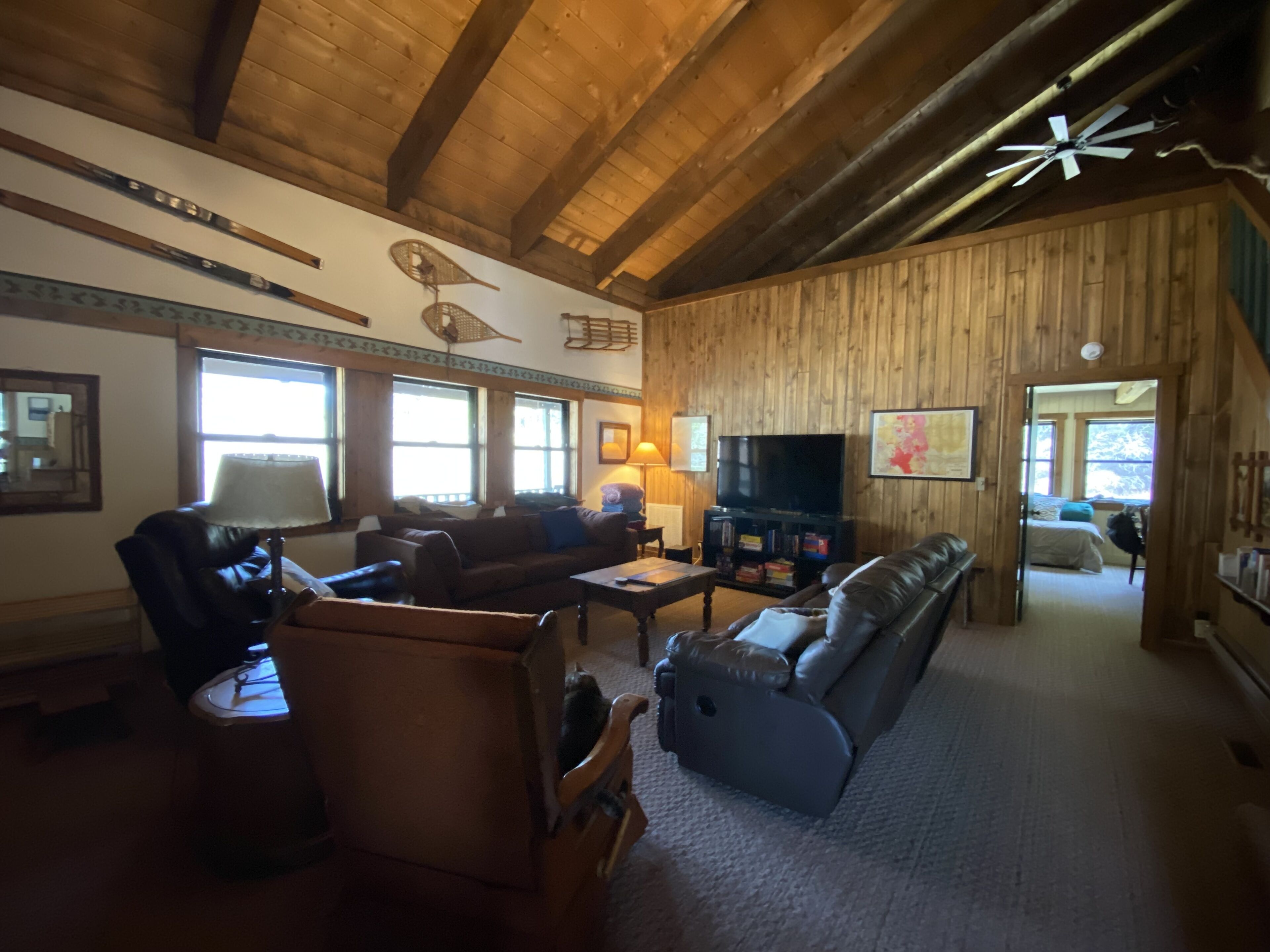 Smart TV, chimenea, reproductor de DVD y libros 