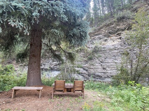 Spruce Moose Lodge: creek-front rustic cabin in the San Juan National Forest