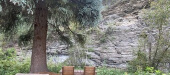 Spruce Moose Lodge: creek-front rustic cabin in the San Juan National Forest