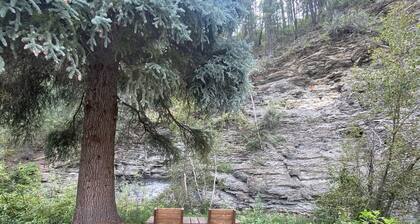 Spruce Moose Lodge: creek-front rustic cabin in the San Juan National Forest