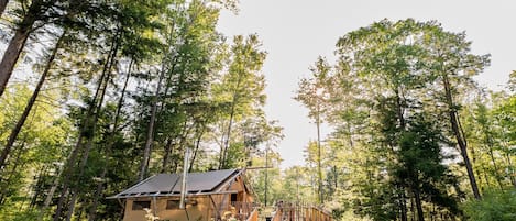 Eine Hütte, umgeben von hohen Bäumen in einem Wald.