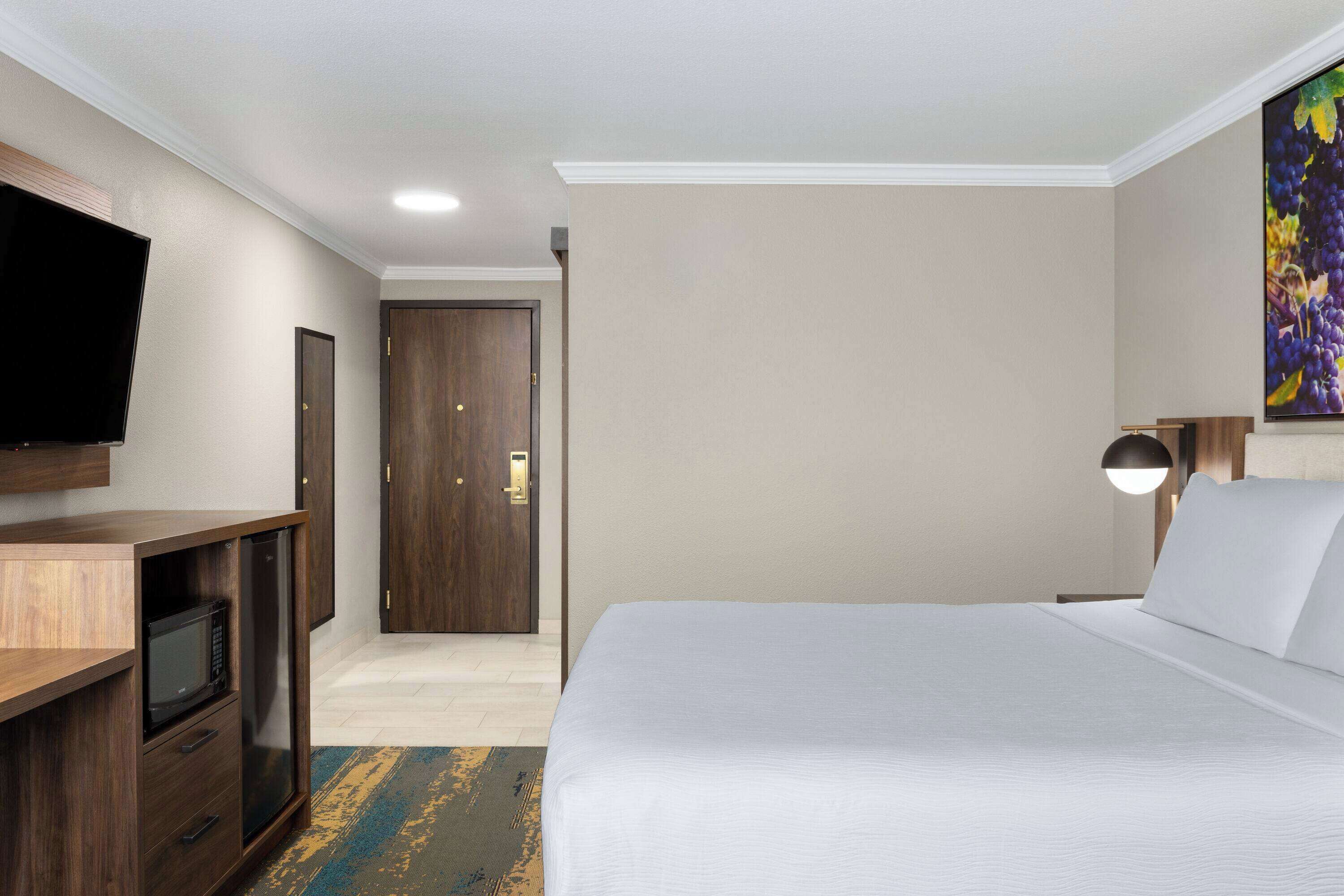 Een hotelkamer met een bed, een televisie, een bureau met een magnetron, een deur en een schilderij aan de muur.