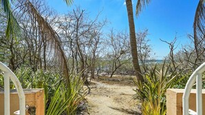 A pathway leading through a natural landscape with palm trees and dry vegetation. - Beachfront Jewel in Langosta (tamarindo)