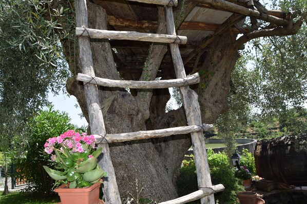 A wooden ladder structure attached to a tree trunk, surrounded by potted plants and a barrel.