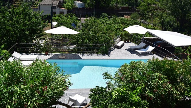 Une piscine entourée de chaises longues et de parasols, avec une végétation luxuriante et des bâtiments en arrière-plan.