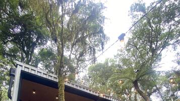 Área da propriedade