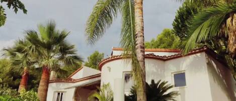 المنشأة من الخارج