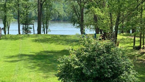 A grassy area with trees and a body of water. - Private cottage on Susquehanna river Very private !! (Berwick)