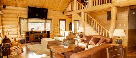 TV connectée, cheminée, lecteur de DVD