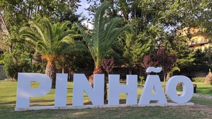 A sign with the word "PINHÃO" in large white letters, surrounded by greenery and trees. - Alojamento 2 Dos Santos (Pinhão)