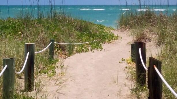 Un sendero arenoso que conduce a una playa con vistas al océano, rodeado de hierba y postes de madera.