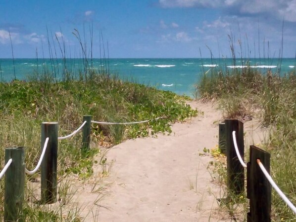 Beach nearby, beach towels - Waterfront Community 2 Bedroom - Southern Coastal Design (New Smyrna Beach)