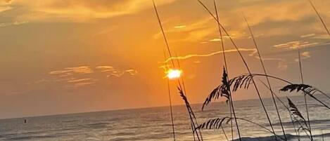 Vlak bij het strand, strandlakens