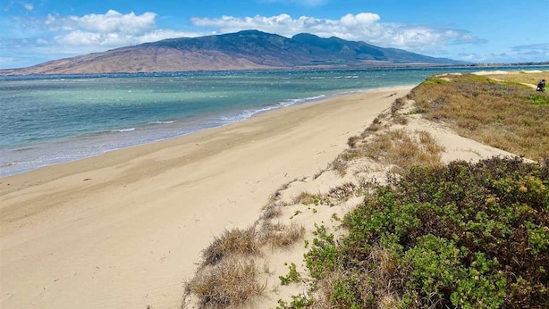 A beach with clear blue water, a sandy shore, and a mountain in the background. - Amazing Oceanview Beachfront Getaway Close to Everything! (Kihei)