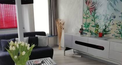 The Saint Paul duo at the entrance to Parc Buffon