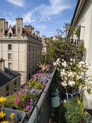 A balcony with a variety of potted plants and flowers.