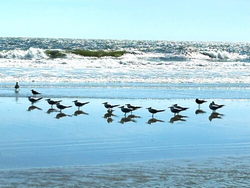 Walk 2 Shelter Cove Marina-Restaurants, Shops. Lots of space. Pool.Beach.Golf.