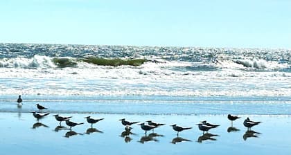 Walk 2 Shelter Cove Marina-Restaurants, Shops. Lots of space. Pool.Beach.Golf.