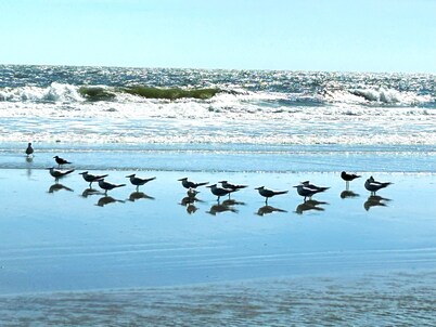 Walk 2 Shelter Cove Marina-Restaurants, Shops. Lots of space. Pool.Beach.Golf.