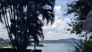 Une piscine avec vue sur un plan d’eau et des palmiers.