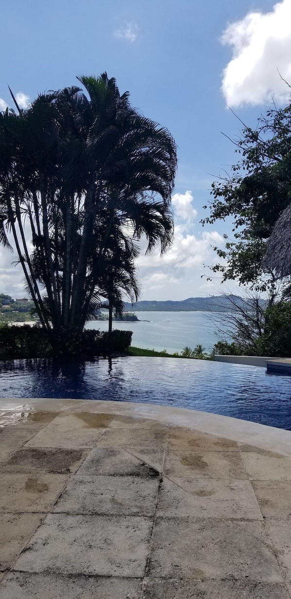 A swimming pool with a view of a body of water and palm trees.