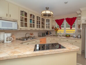 Fridge, microwave, stovetop, coffee/tea maker - Unique Casa and Casita Heliconia- 2 separate properties and salt water spa. (Naguabo)